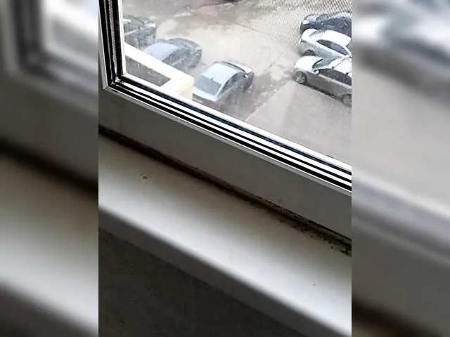 Offline doktorgirl on BongaCams