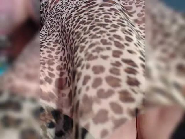 Freechat Fox-SEXI on BongaCams