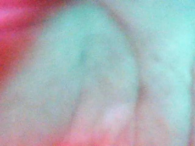 BongaCams JoeYang is Freechat JoeYang — Leave us alone and spoil us with tokens