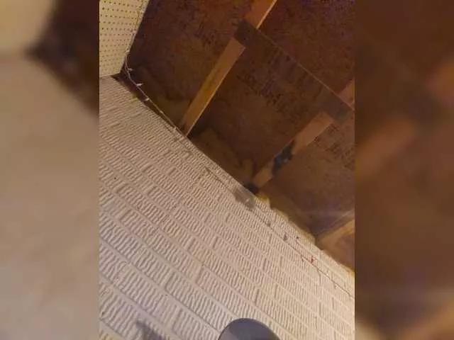 Offline Lkangelach on BongaCams