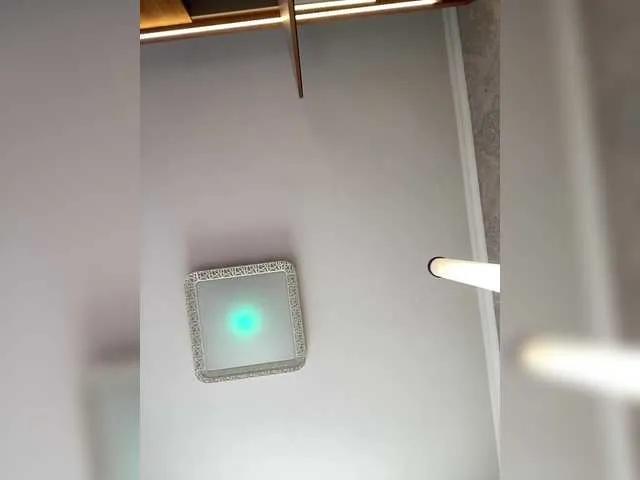 Freechat PALMIIRA on BongaCams