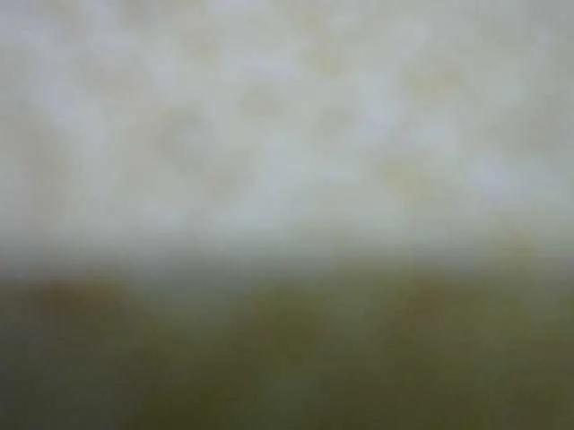 Offline Queenfey on BongaCams