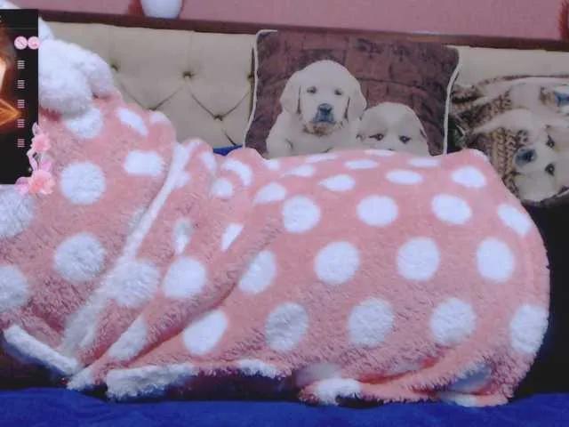 Offline SexyAlina123 on BongaCams