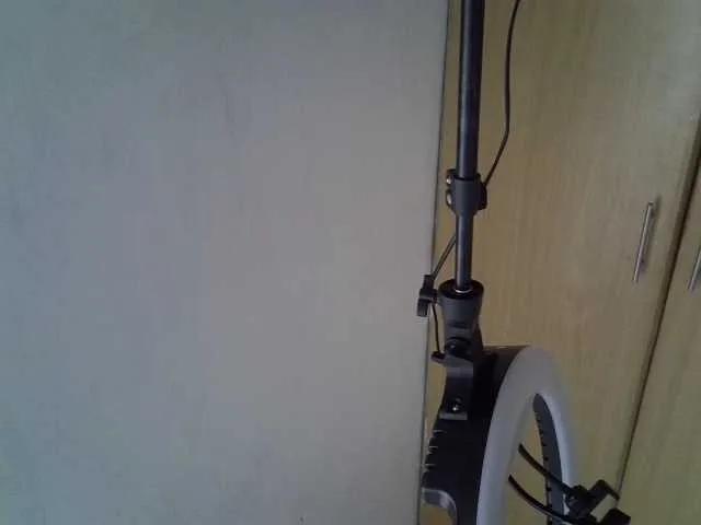 SweetRose on BongaCams