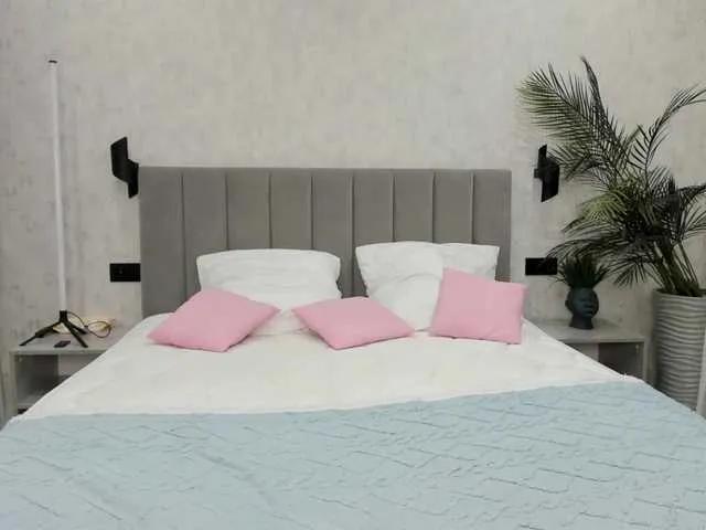 Offline synopsiss on BongaCams