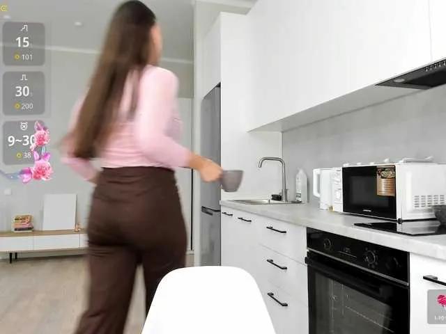 Offline synopsiss on BongaCams