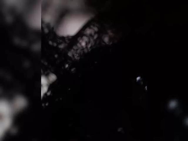 Offline Xrisa on BongaCams