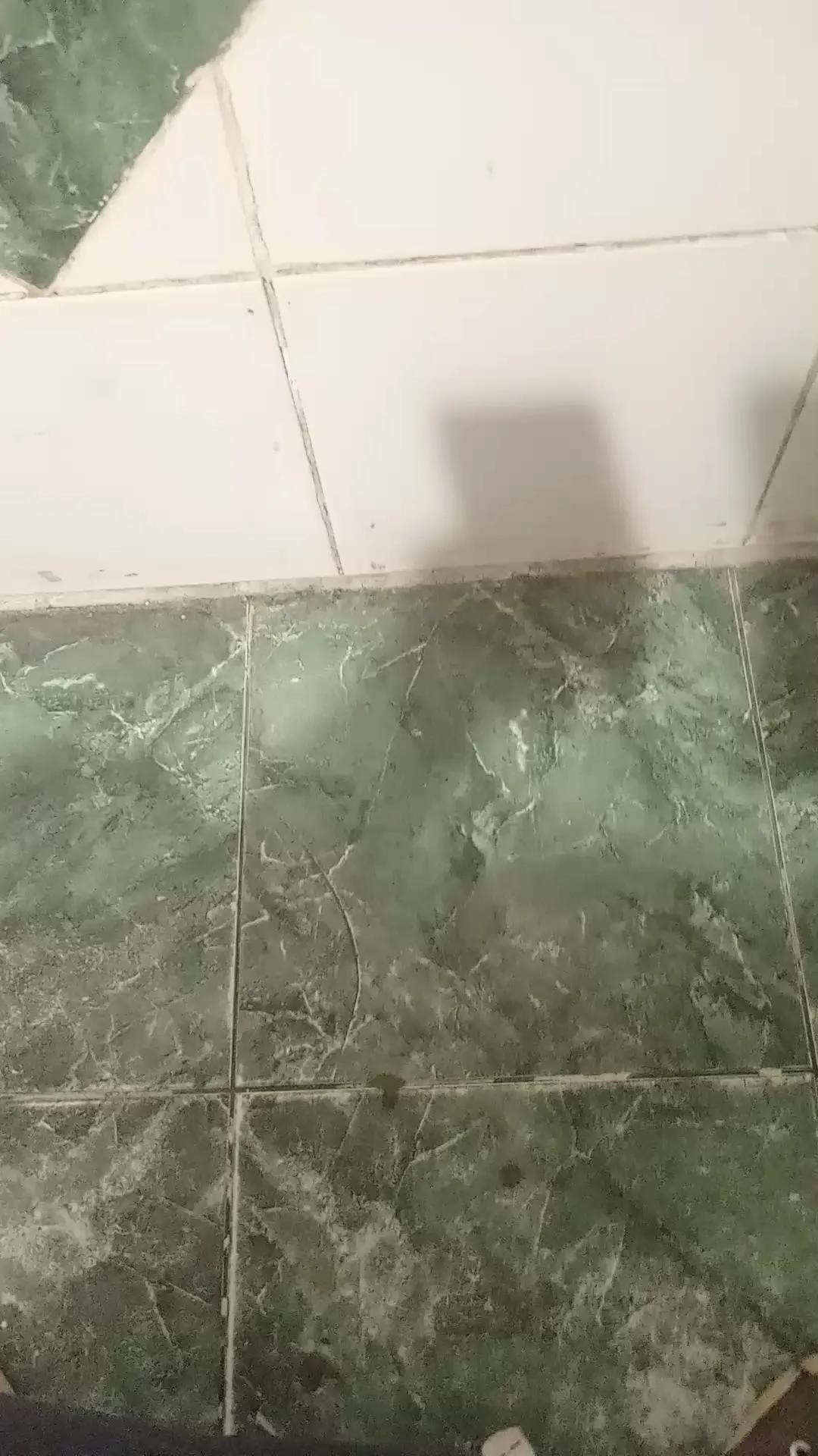 Offline Adritoledo on Cam4