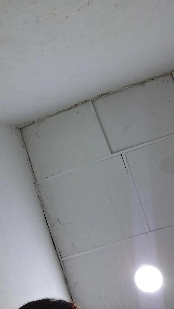 Offline Ashly_dirty1 on Cam4