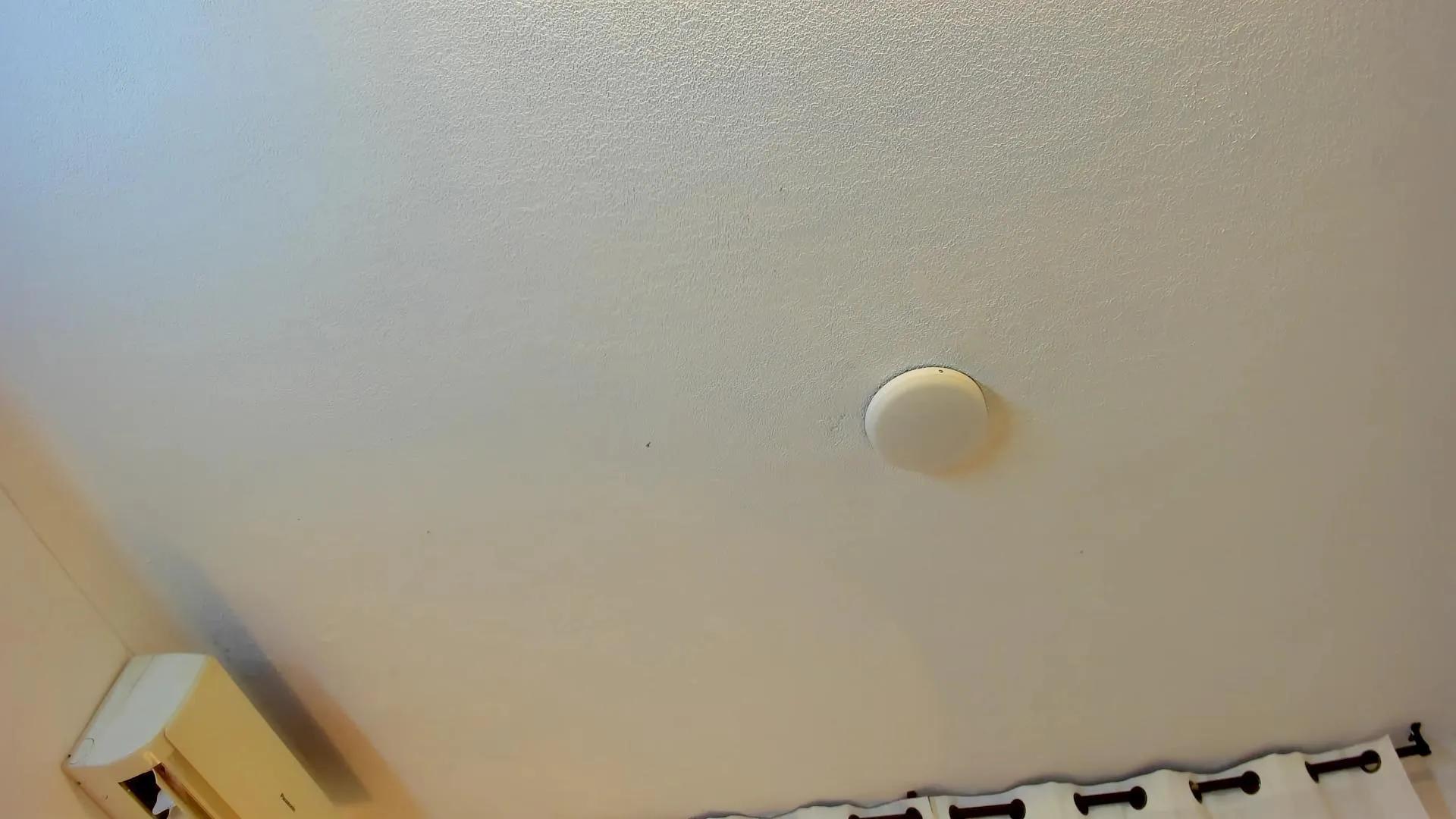 Offline brittany069 on Cam4