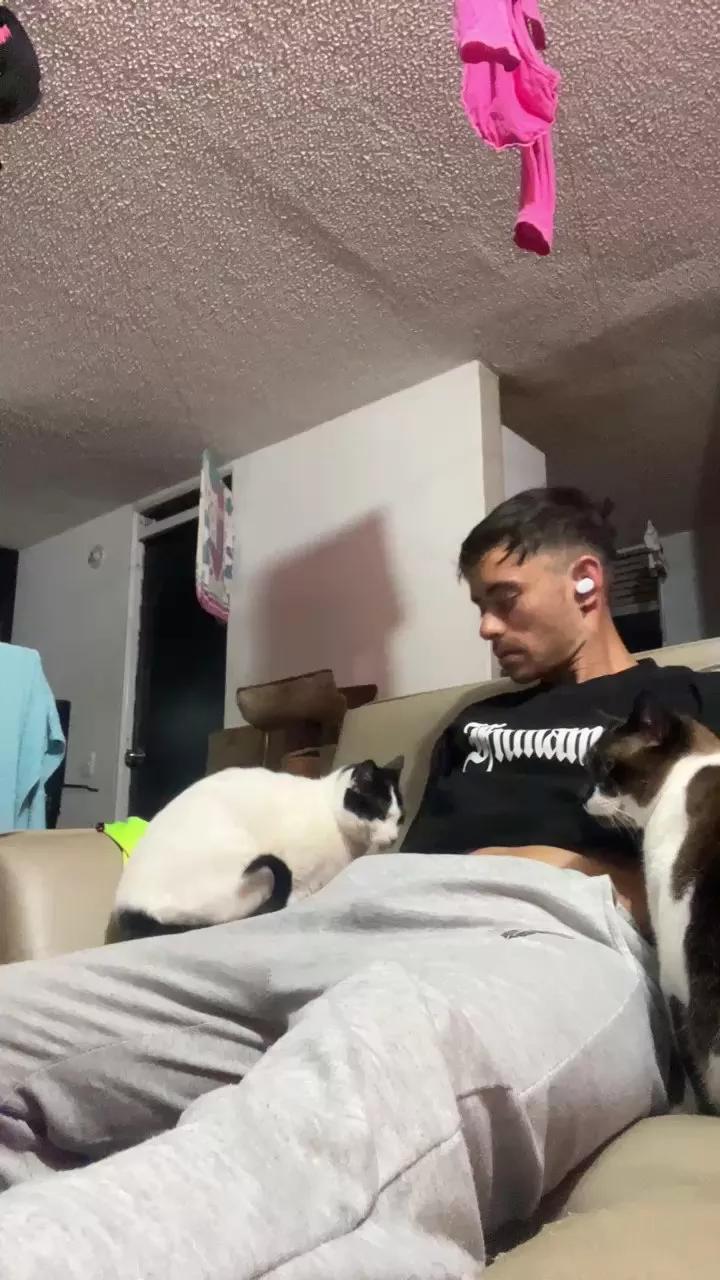 Offline Dandolatoda on Cam4