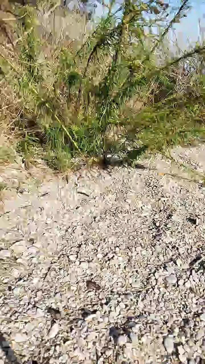 Offline delfin1111 on Cam4