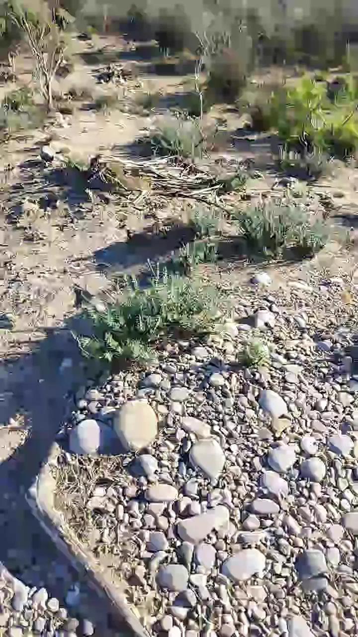 Offline delfin1111 on Cam4