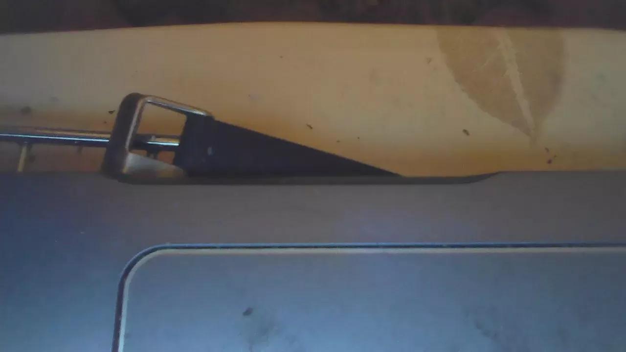 Offline idefix091 on Cam4