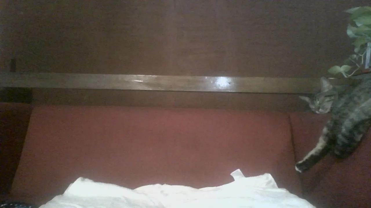 Offline Liyovassa22_ on Cam4