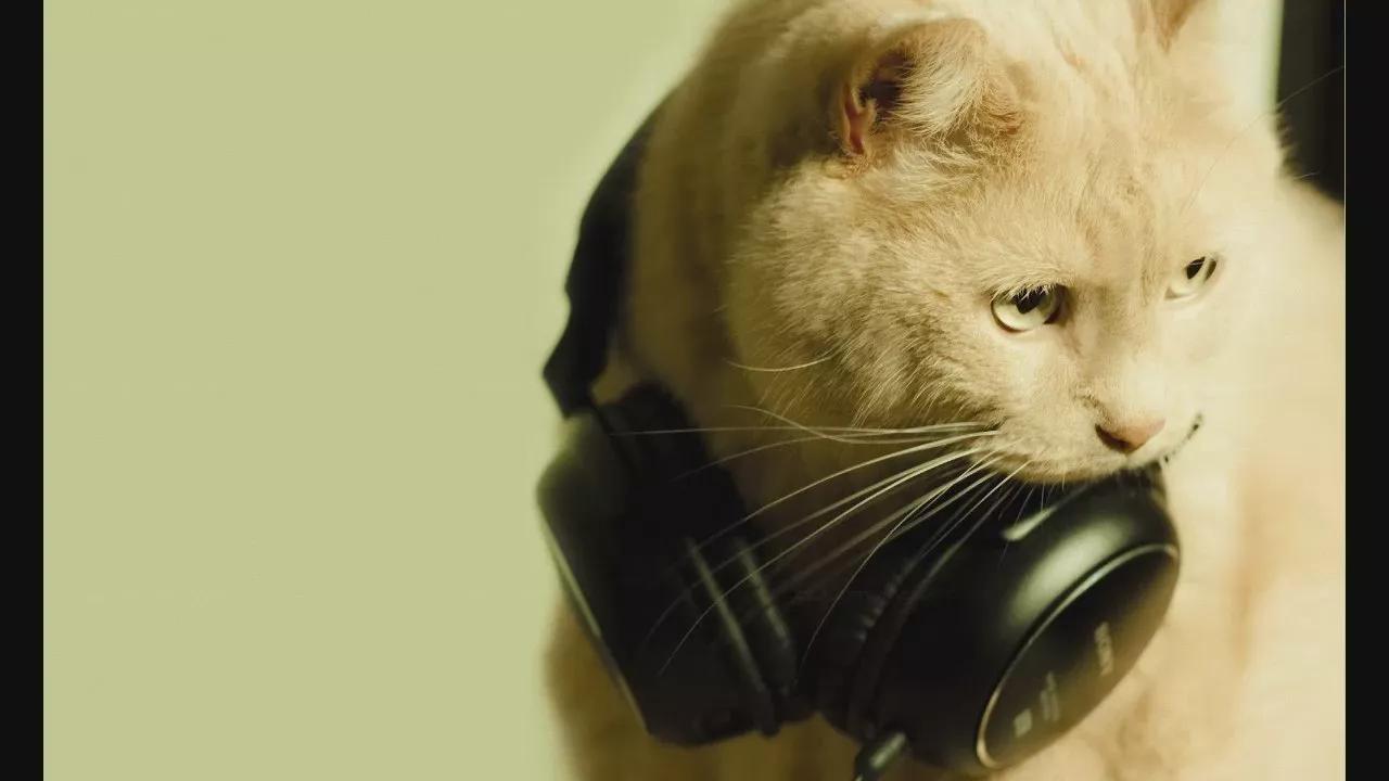 Offline M_Vikki on Cam4