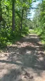 Freechat MikeSpyke on Cam4