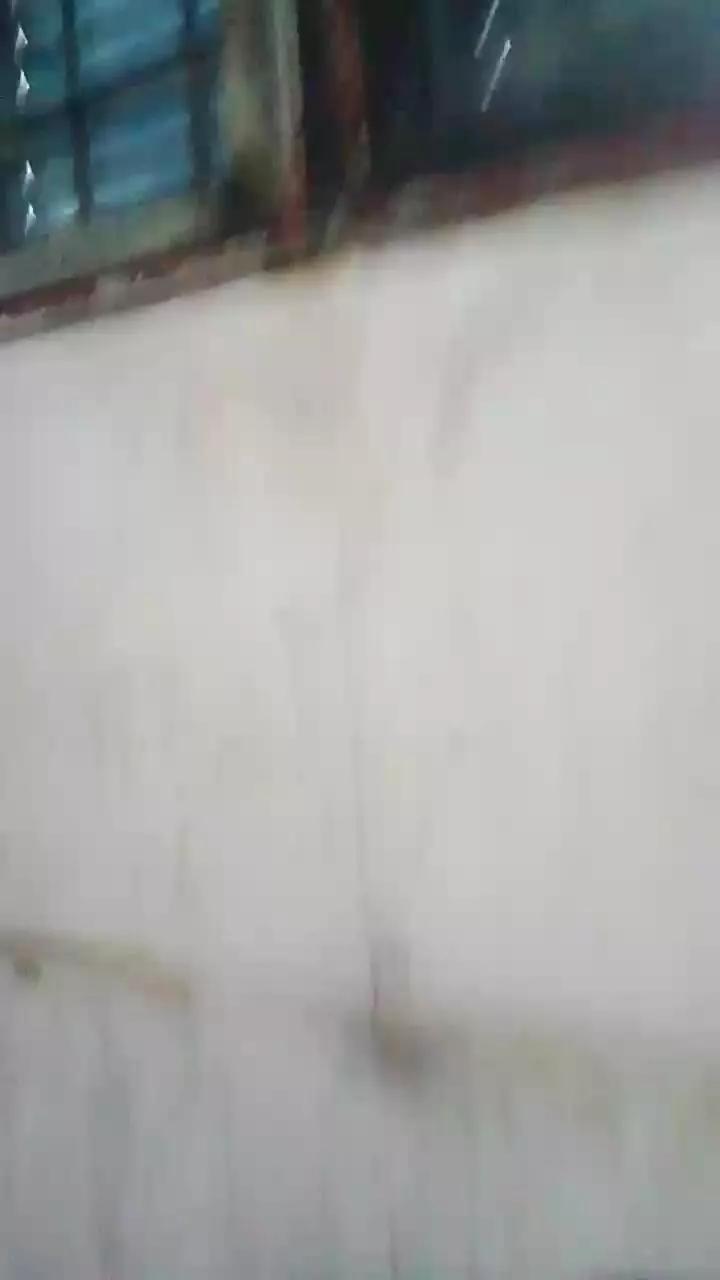 Offline nico202490gcom2 on Cam4