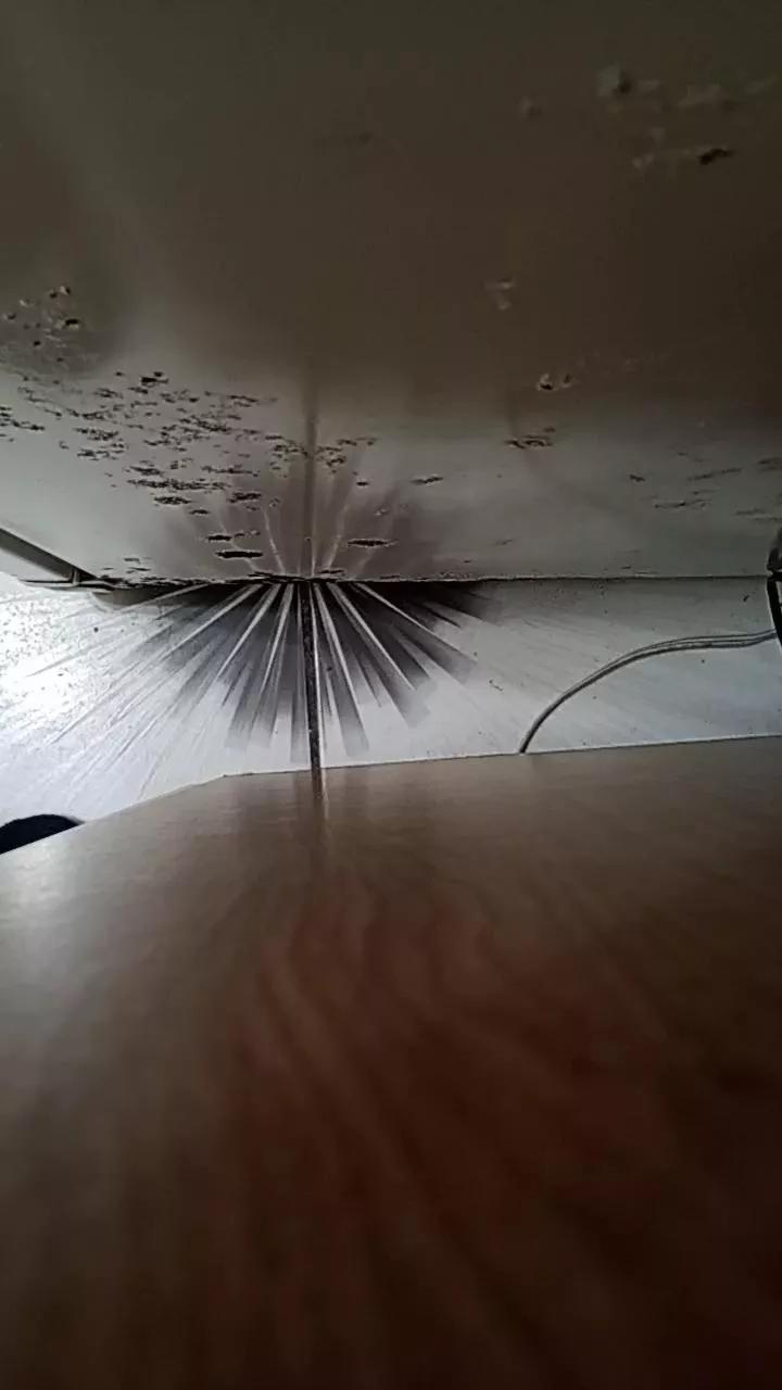 Offline Peladao2024 on Cam4