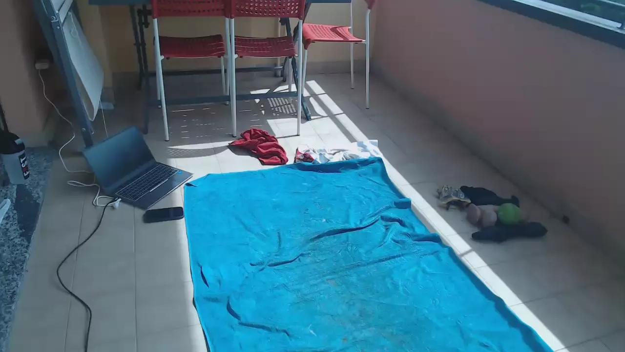 Offline pigfagcunt on Cam4