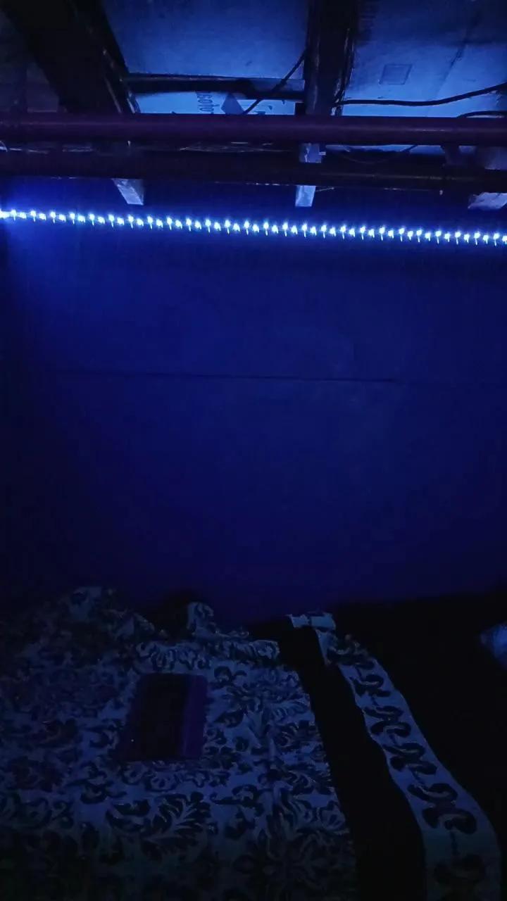 purplediamond79 on Cam4 