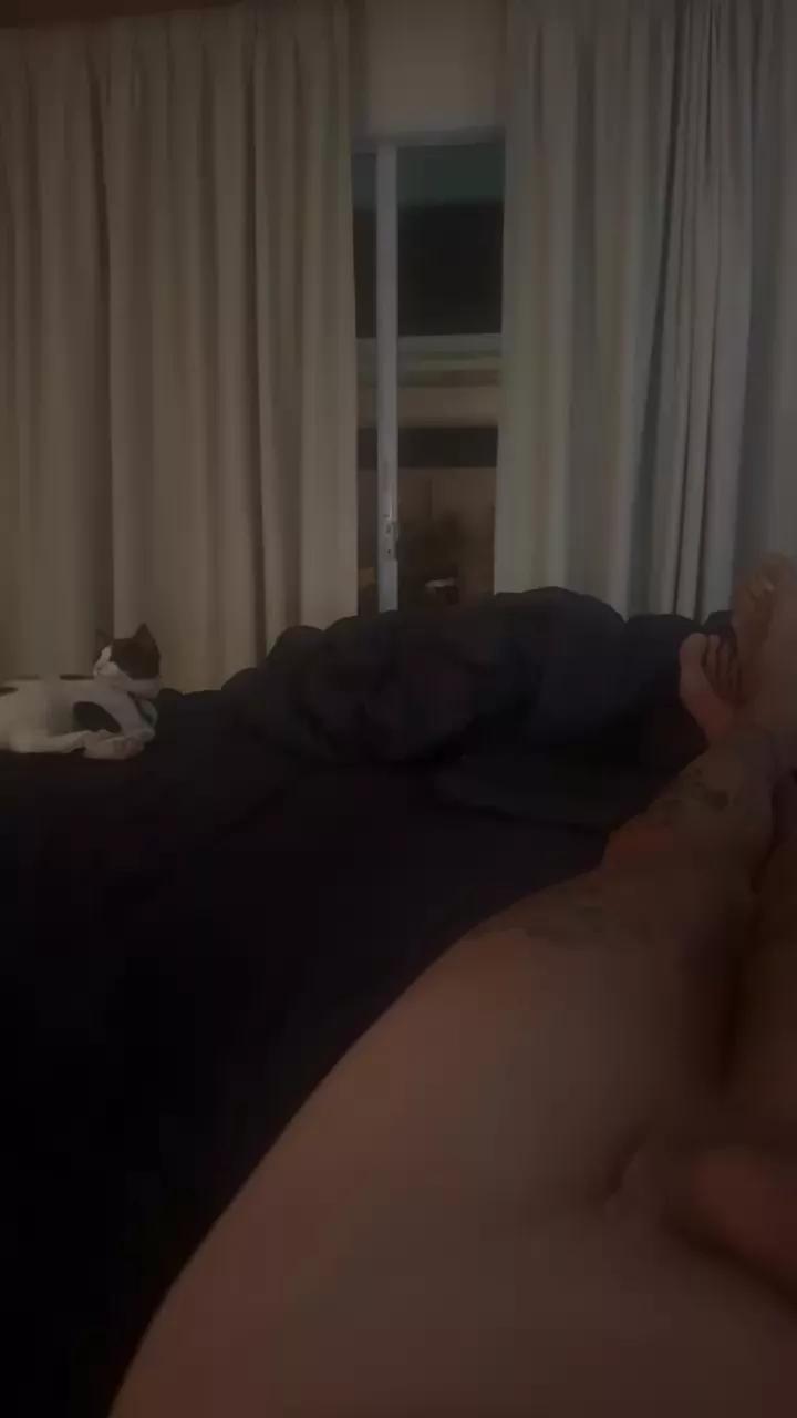 Offline TheSexyFoxxx on Cam4