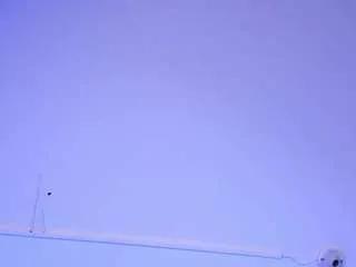 Offline aliceesmithh on CamSoda