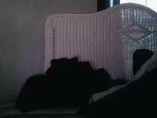 bee-eazyquinn on CamSoda 