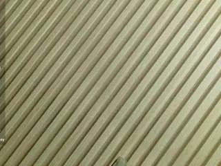 Offline chantal-quinn on CamSoda