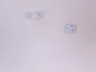 Freechat maddieparker on CamSoda