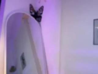 Offline melannieocean1 on CamSoda