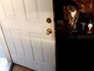 Offline tastytiff88 on CamSoda