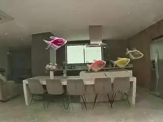 Freechat voyeurcam-casa-salsa-fishtank on CamSoda