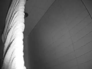 Offline voyeurcam-hazelgrace-01 on CamSoda