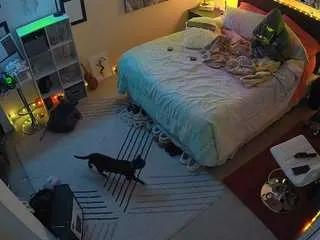 Offline voyeurcam-hornyhostel-01 on CamSoda