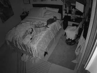 Offline voyeurcam-hornyhostel-01 on CamSoda