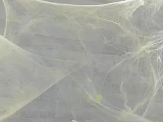 Flirt4Free jennifer_dumont is Freechat jennifer_dumont — Freechat on Flirt4Free