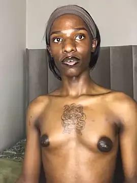 Freechat Trans_fairy on StripChat