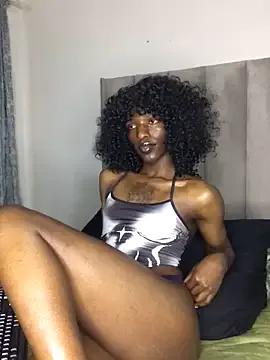 Freechat Trans_fairy on StripChat
