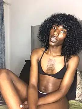 Freechat Trans_fairy on StripChat