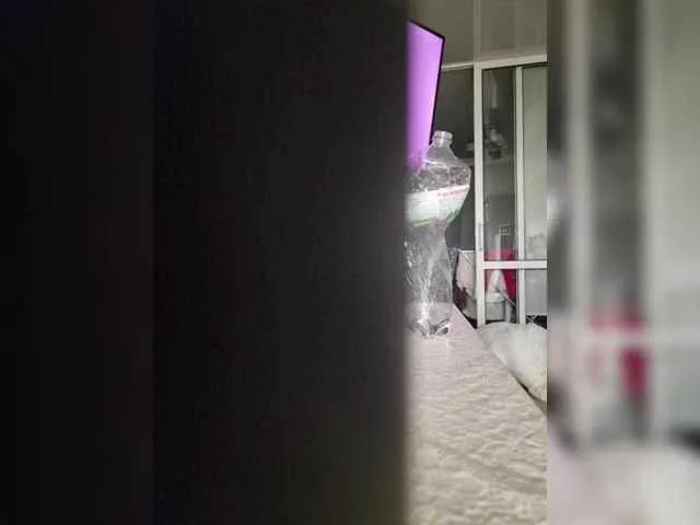 Offline Kira183 on BongaCams