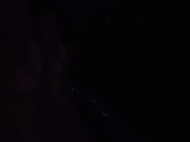 Offline Kira183 on BongaCams