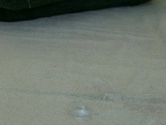 Offline LeyaCass on BongaCams