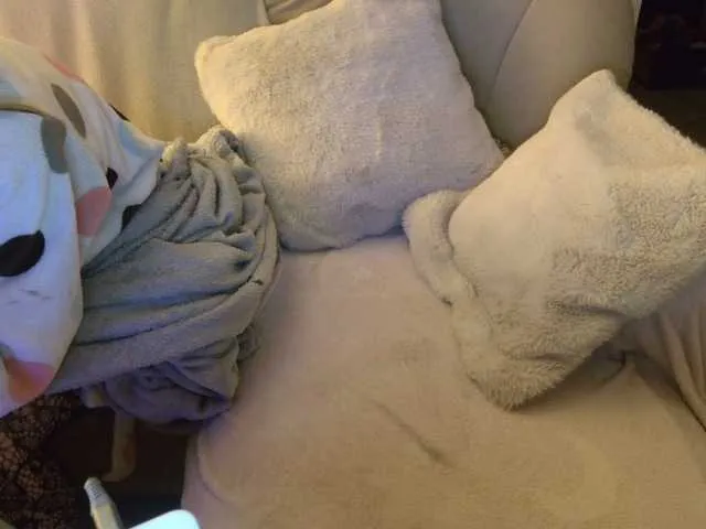 Offline LISACAM2CAM on BongaCams