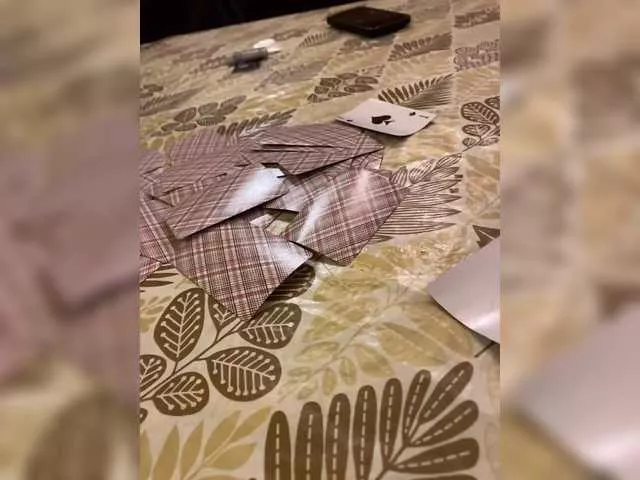 Offline purpur33 on BongaCams