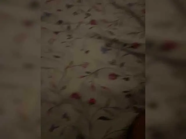 Offline purpur33 on BongaCams