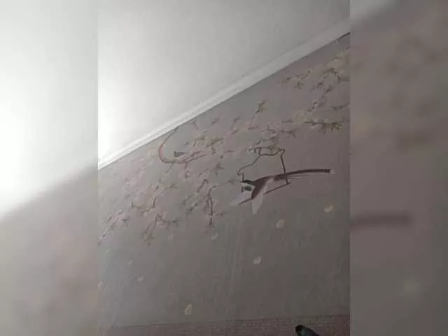 SashaZ1 on BongaCams 