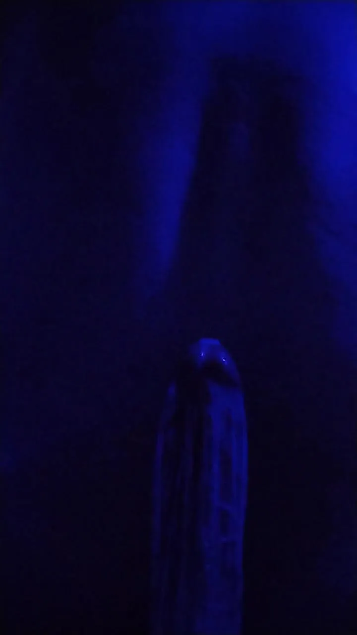 Offline Ajlobo on Cam4