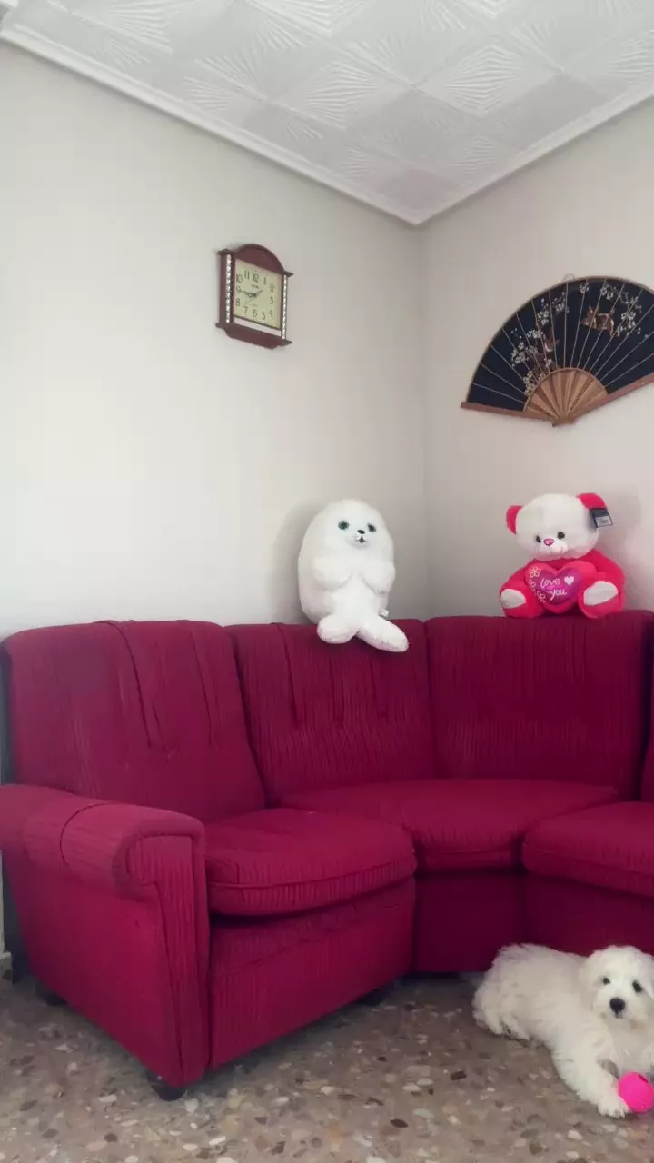 Offline Cataleya97 on Cam4