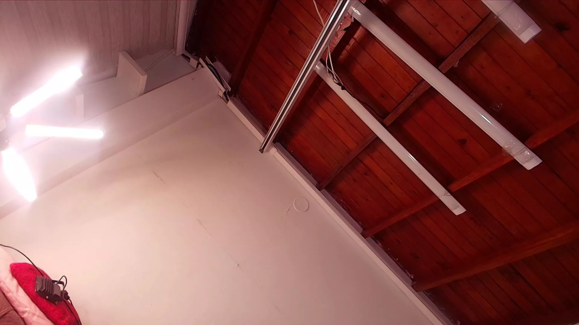 Freechat emyli_sw on Cam4